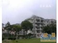 豪世盛地3室2厅南