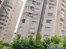 厨卫朝北,大开间,品质小区,繁华地段