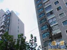 1公里3地铁+2商场+坐看陆家嘴三件套+500米公园+有车位