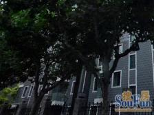 曲阳·大上海紫金城·2室·1厅