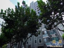 虹口凉城板式住宅,花园式小区,小高层住宅,配套好