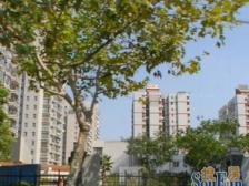 新出小区中间位置 中间楼层 全明户型,安静 !