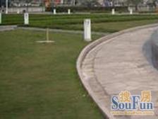 紫藤一村 2室1厅1卫 南 简装