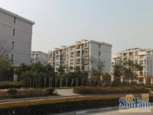 品质小区 安静位置 满五房型正气 挑空大客厅 自带车库