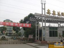 飞机户型+业主诚售+位置好+中间楼层+全明户型