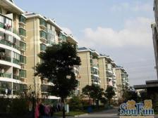 共富鑫鑫花园3室南朝向380.00万元/套出售