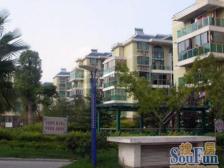 大宁北+顶楼复式+精装修+不靠路+全明户型