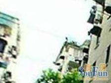 双辽新村 2室1厅 南