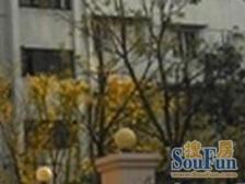 内环内,原建房+可开复式+位置好+高楼层,视野好