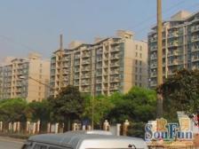 一梯两户,电梯三房,精装修图片更新中,绿化高,诚心卖