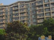 上南花城 2室2厅 南 北