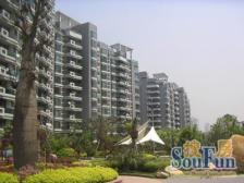 武宁·大华清水湾·1室·1厅