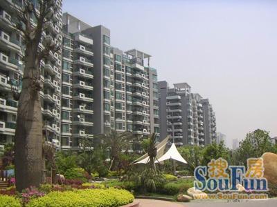 大华清水湾花园实景图