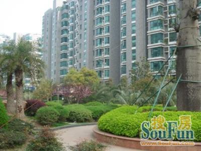 大华清水湾花园实景图