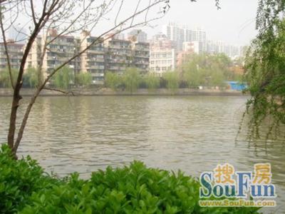 大华清水湾花园实景图