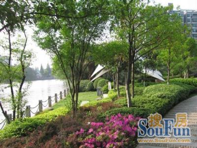 大华清水湾花园实景图