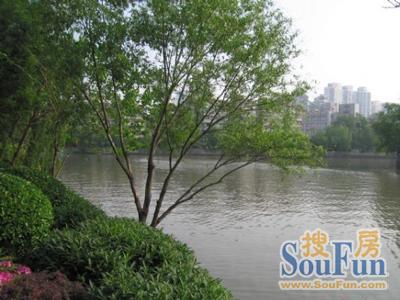 大华清水湾花园实景图