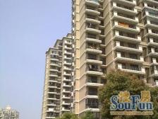 靠别墅位置好,高层景观房,总监推荐,业主诚售