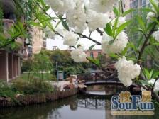 不靠谱,总价低,随时可看