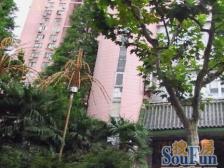 高区视野好,户型方正,全明户型,诚意卖