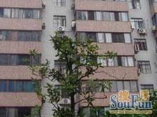 大领导站台 单价低 电梯 通勤方便 户型正气的三房