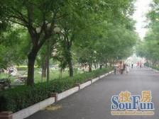 新上,低楼层一房一厅,上海安居好房