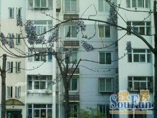 新出大三房 8号线黄兴路站 一梯两户 诚意出售 随时看