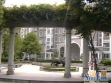 一梯两户,南北通风,全明户型,好停车