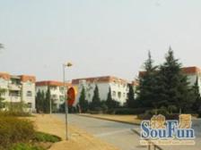 中间楼层大三房通透居住方便拎包入住