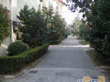 莘庄·金城绿苑·4室·2厅