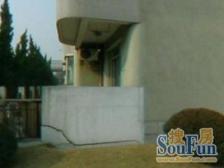 金城绿苑(公寓) 4室2厅 南