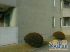 中间楼层大三房通透居住方便拎包入住