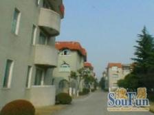 金城绿苑(公寓) 4室2厅 南