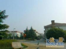 莘庄·金城绿苑·4室·2厅