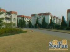 大平层 四房二卫 高密度洋房 双阳台