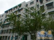 鸿宝一村(南区) 3室1厅 南 北