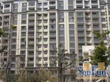 中间楼层 无抵押,随时看房,新上房源