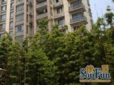 无抵押 电梯房,随时看房,新上房源