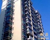 近地铁,电梯房现场实勘必看好房