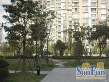 小区花园C位+高楼层视野开阔+地下车位