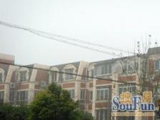 满五,采光好 精装,必看好房