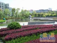 电梯大复试,空中别墅,5房3卫,06年品质小区,诚意出售