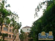 中间楼层 产权清晰 精装 必看好房