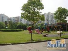 宝安五期电梯一房,户型很少,业主诚意!