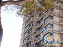 南京西路板块闵水闵电通燃气可塑性强,不需要购房资格