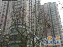 南京西路 近地铁 电梯房 精装修 通燃气