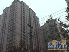 南京西路板块闵水闵电通燃气可塑性强,不需要购房资格