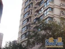 雕塑公园旁 精装修 南京西路 通燃气 电梯房