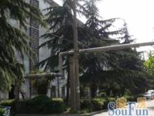 西塘新村一楼带院子,出行方便,小面积的房子总价低南北通透