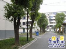 中间楼层,视野采光好,楼幢位置好